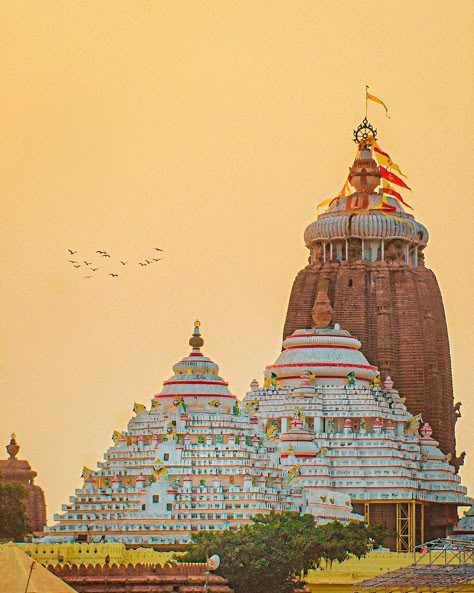 Jagannath Puri Tour